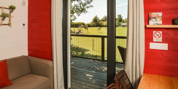 Nuit insolite savane_Zoo-boissiere du dorée_animaux_sauvage