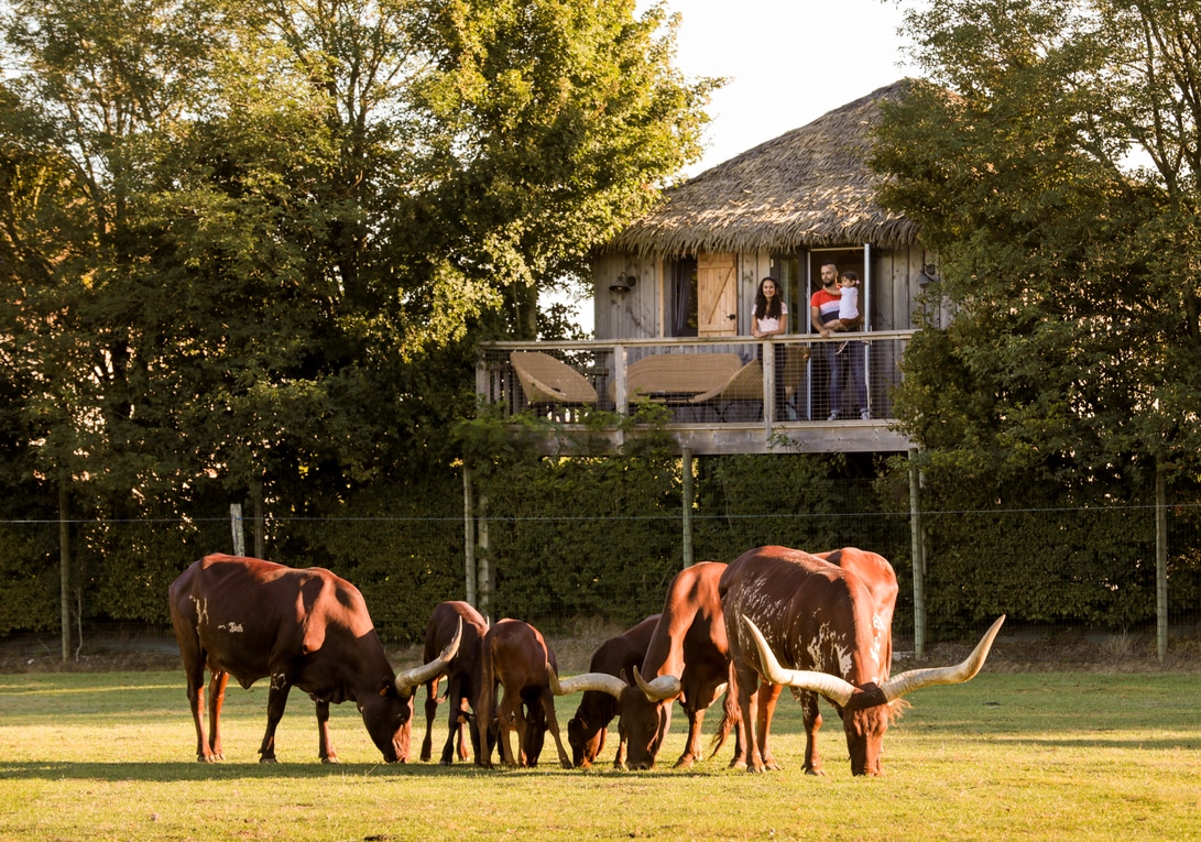 lodge girage