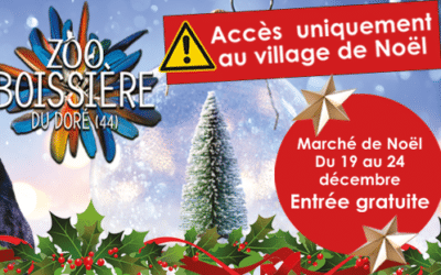 MARCHE DE NOEL AU ZOO !