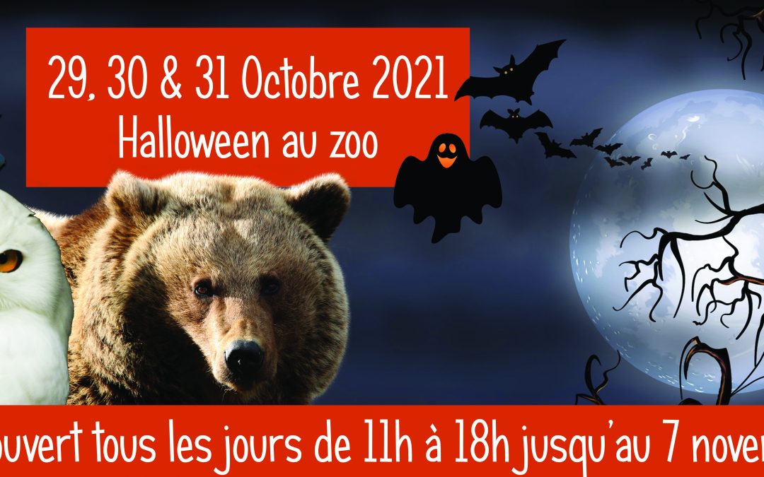 Halloween au zoo, les 29, 30 et 31 octobre 2021