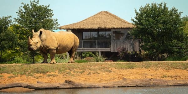 Bon cadeau « DUO » AFRICA - Haute saison