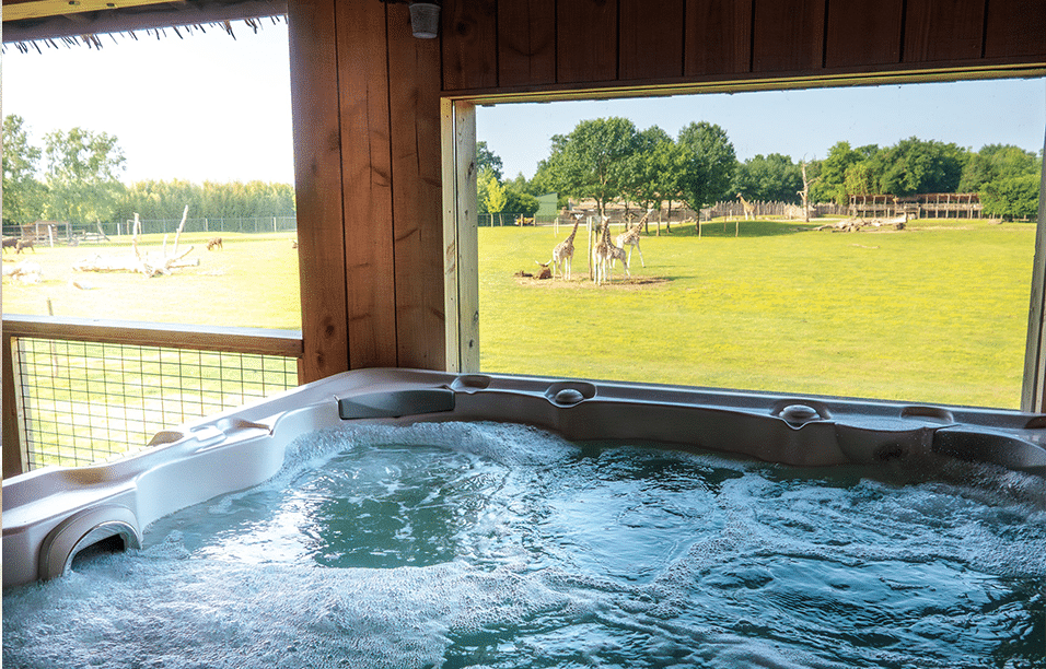 Photo-Girafe-familly-spa.jpg Zoo-boissiere du dorée_animaux_sauvage_vallet_clisson_nantes_grand ouest-loire_atlantique_44_safari_lodge_séjour_hébergement_vacances_chalet_parc_nature_luxe_cocooning_immerssion_afrique_terrasse_vue panoramique extérieure