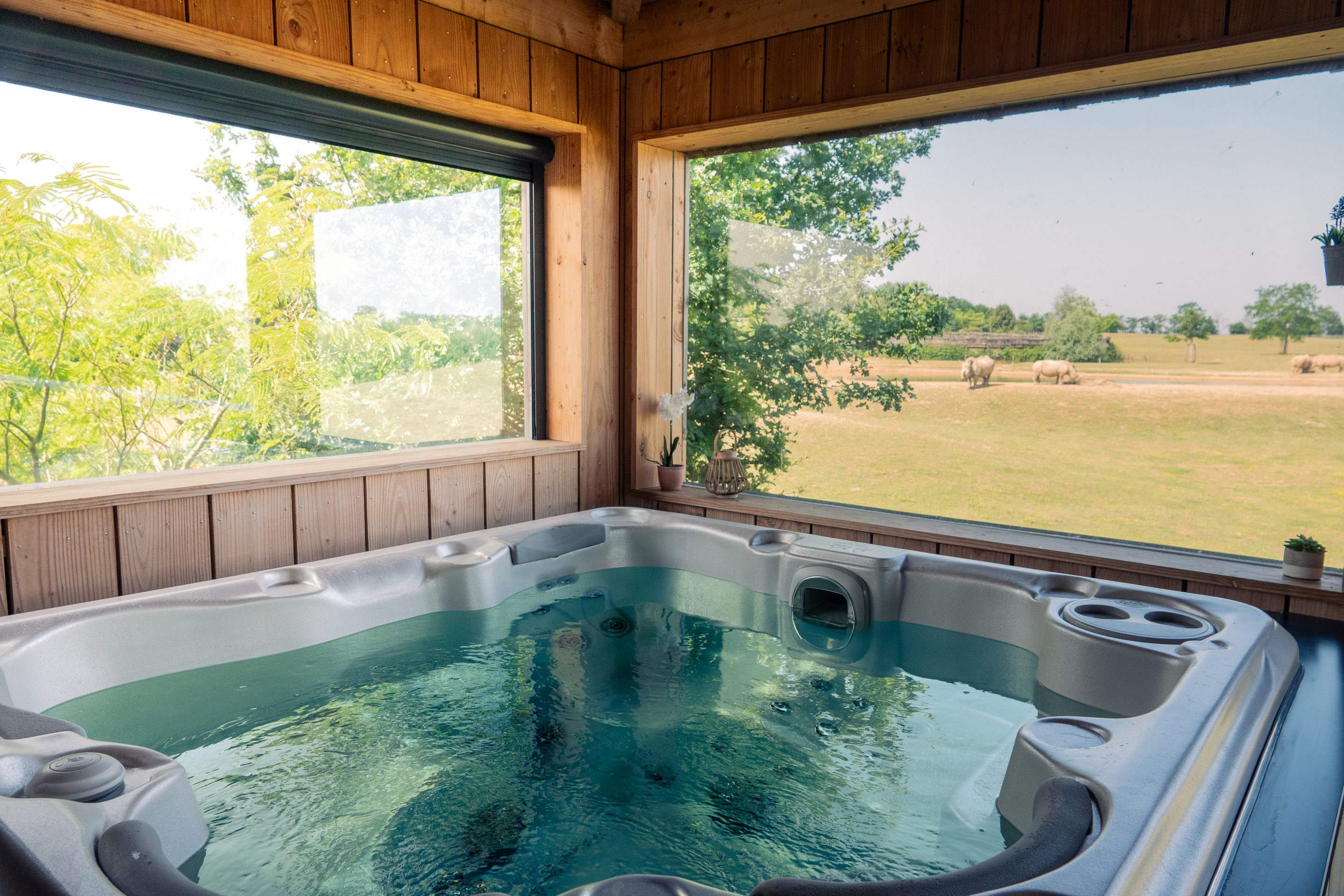 Photo Rhino final (3 sur 5) Zoo-boissiere du dorée_animaux_sauvage_vallet_clisson_nantes_grand ouest-loire_atlantique_44_safari_lodge_séjour_hébergement_vacances_chalet_parc_nature_luxe_cocooning_immerssion_afrique_terrasse_vue panoramique extérieure