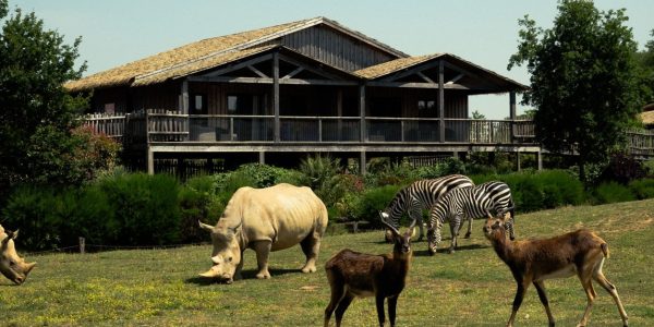 Bon cadeau - Montant libre